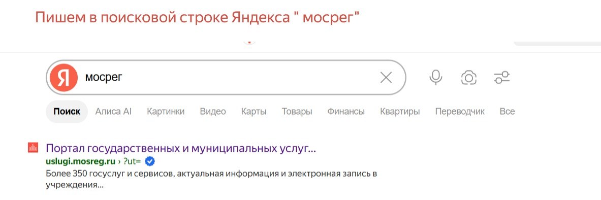 Поиск официального портала Мосрег