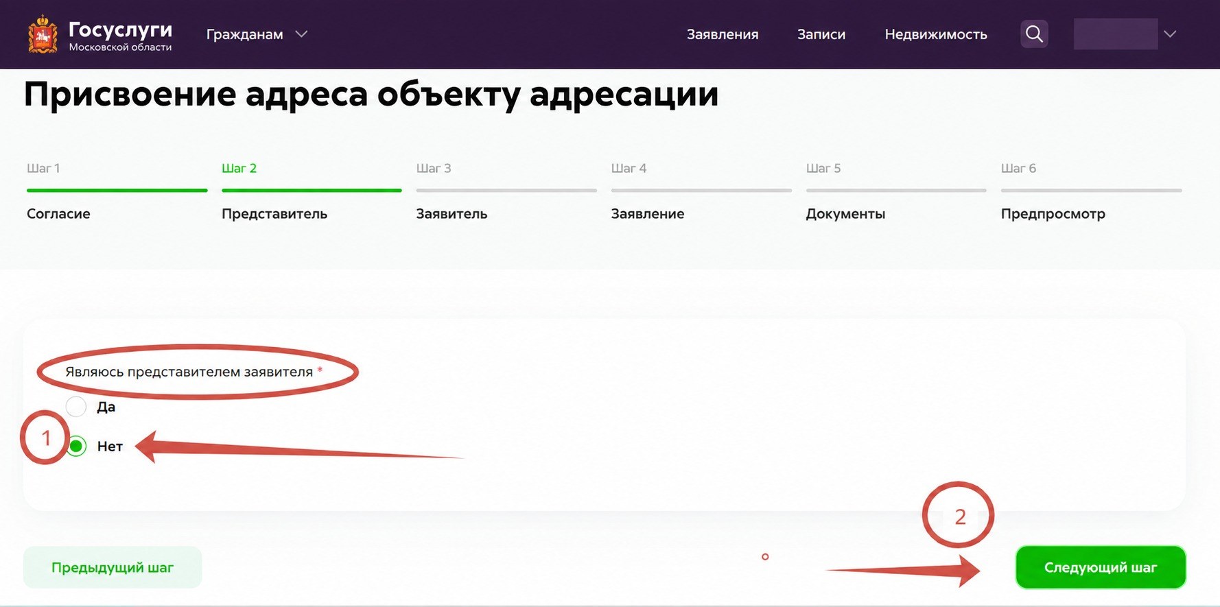 Выбор подачи лично или через представителя