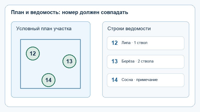 Условная схема связывает номера деревьев 12, 13 и 14 на плане со строками ведомости