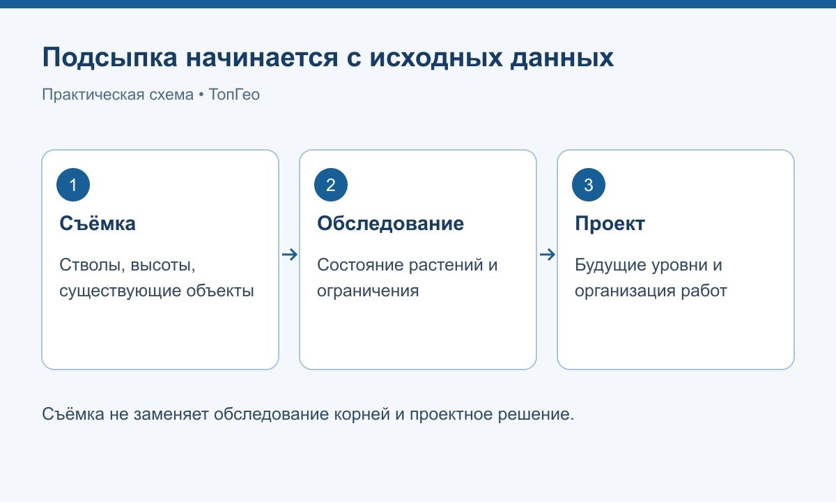 Последовательность подготовки подсыпки возле деревьев
