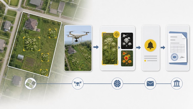 Схема: снимок участка, анализ ИИ, уведомление и протокол